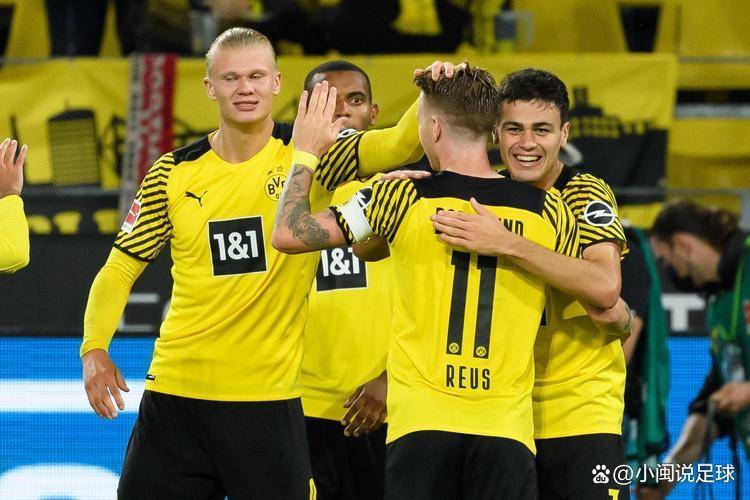 关于霍芬海姆不敌多特蒙德,遗憾阶段性失利的信息 关于霍芬海姆不敌多特蒙德,遗憾阶段性失利的信息