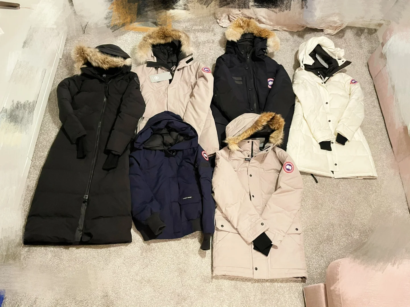 加拿大代表表现抢眼,收获关注的简单介绍 加拿大代表表现抢眼,收获关注的简单介绍