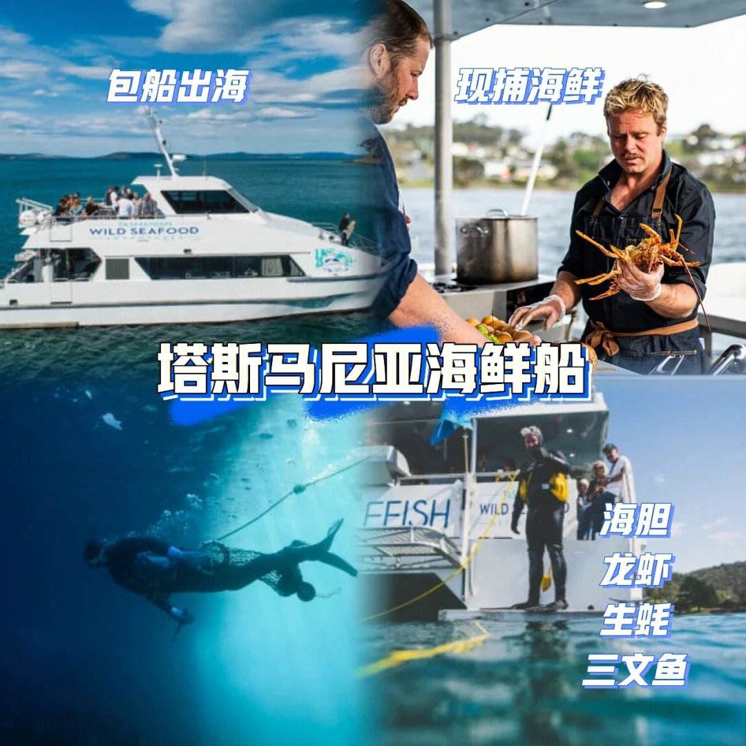 塔斯马尼亚联主场迎战布宜诺斯艾利斯独立,锋线火力引爆看点的简单介绍 塔斯马尼亚联主场迎战布宜诺斯艾利斯独立,锋线火力引爆看点的简单介绍