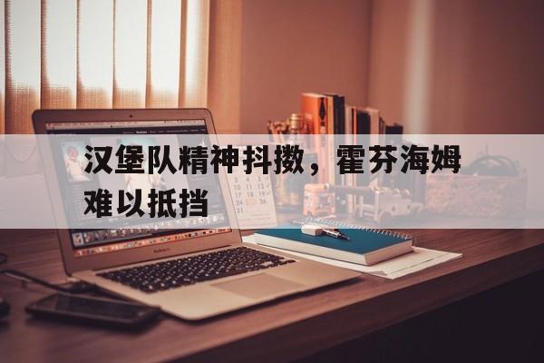 杏彩体育官网-包含汉堡队精神抖擞，霍芬海姆难以抵挡的词条